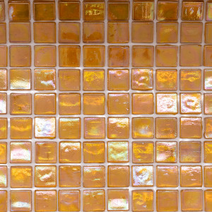 XP17